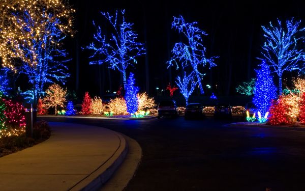 Decorative Light Installation